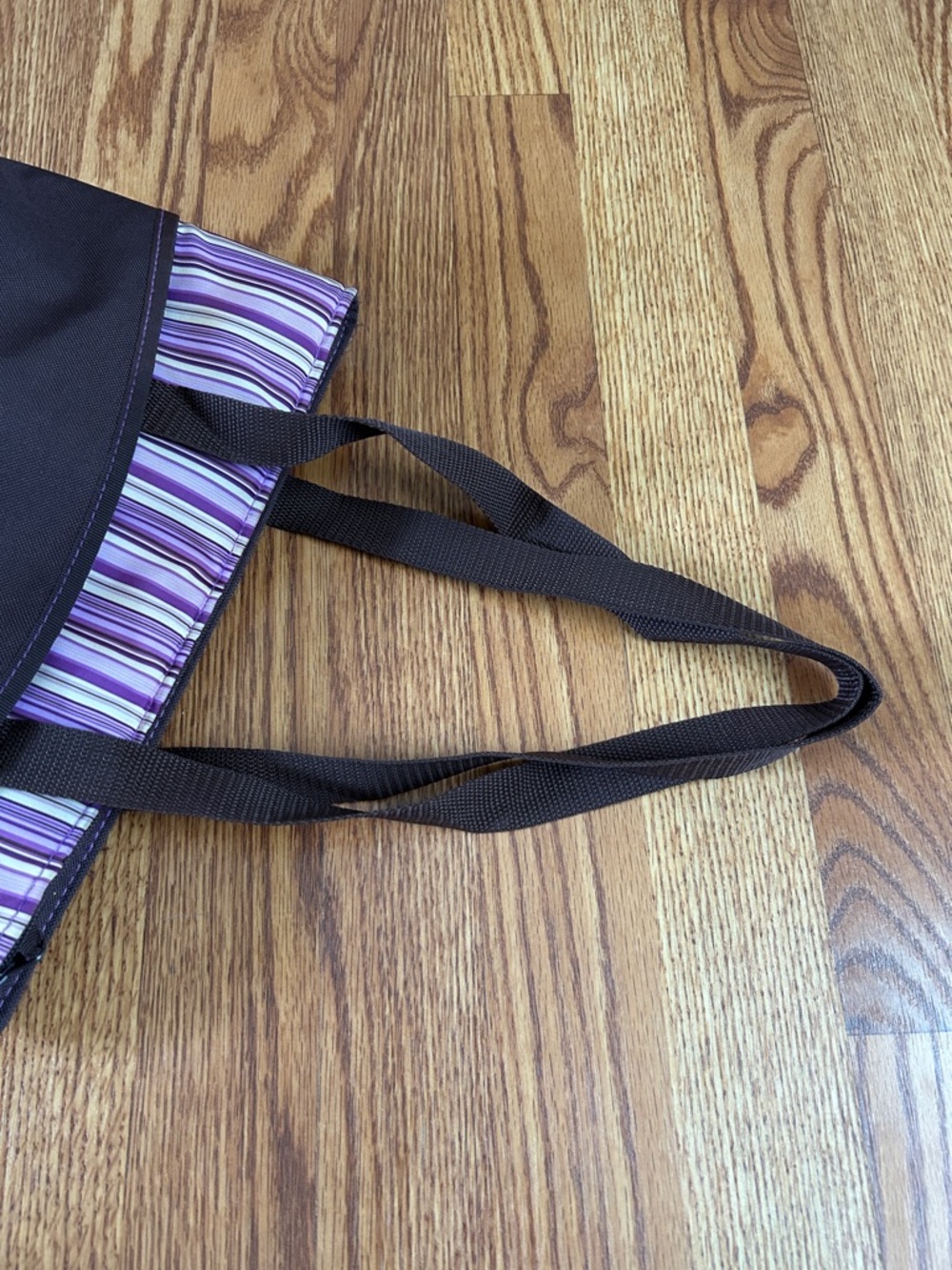 Raya by Thermos Clean Zipper Insulated Solid Brown w/Purple Stripes Lunch Tote - Picture 4 of 14